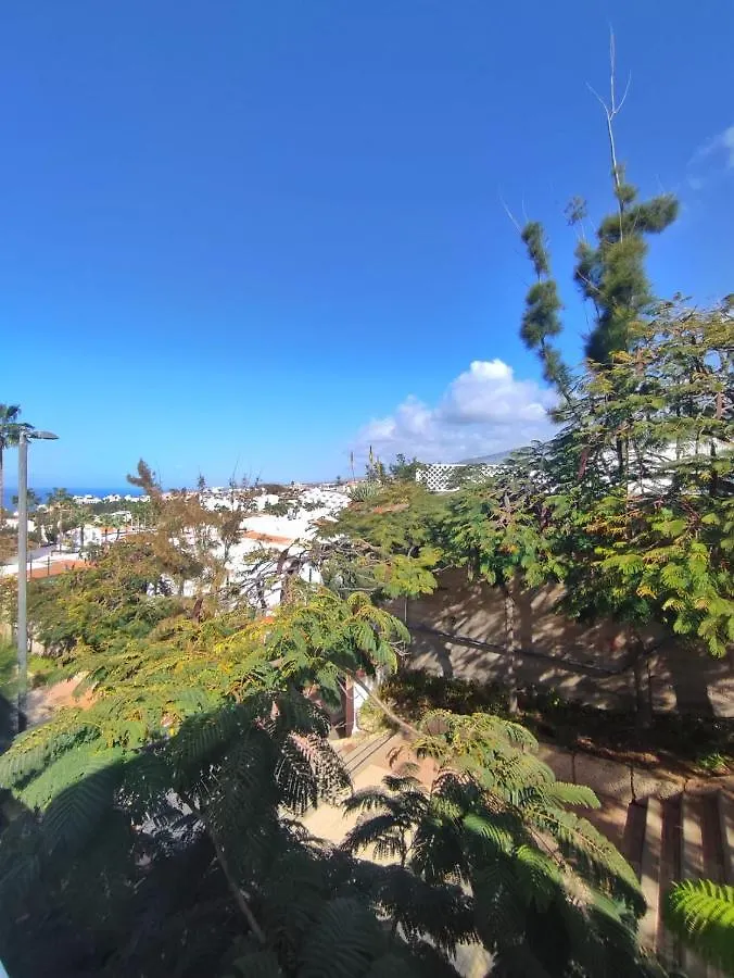 Sunshine Island Village Costa Adeje  Costa Adeje (Tenerife)